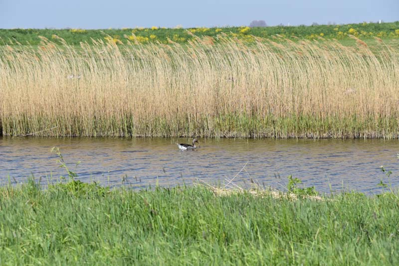 19-04-19_NL_0156_GA2_9564