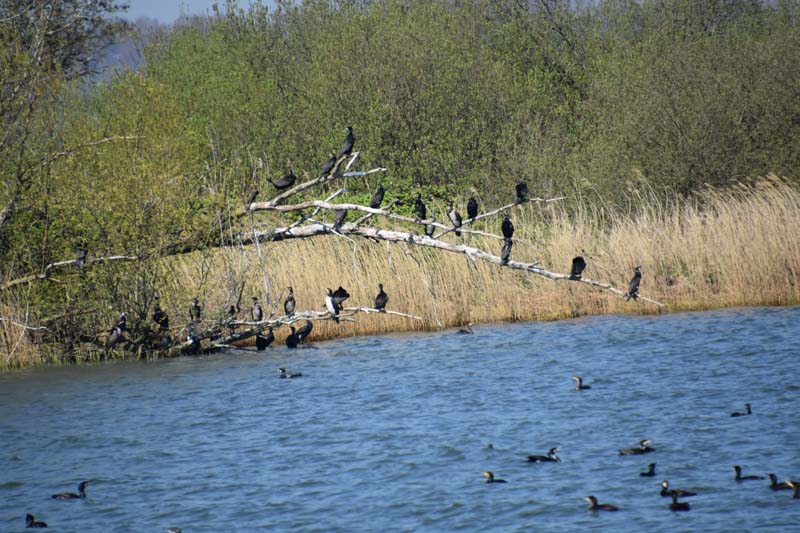 19-04-19_NL_0162_GA2_9570