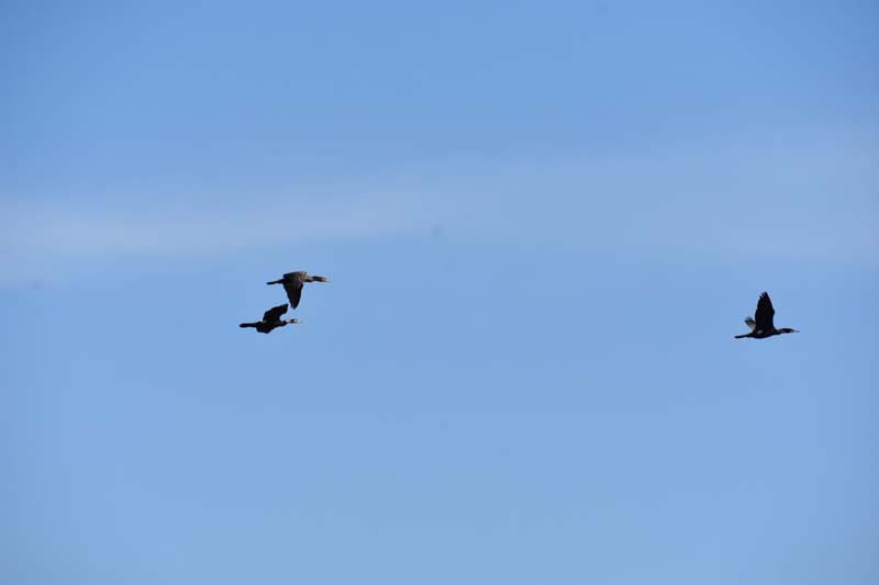 19-04-19_NL_0168_GA2_9576