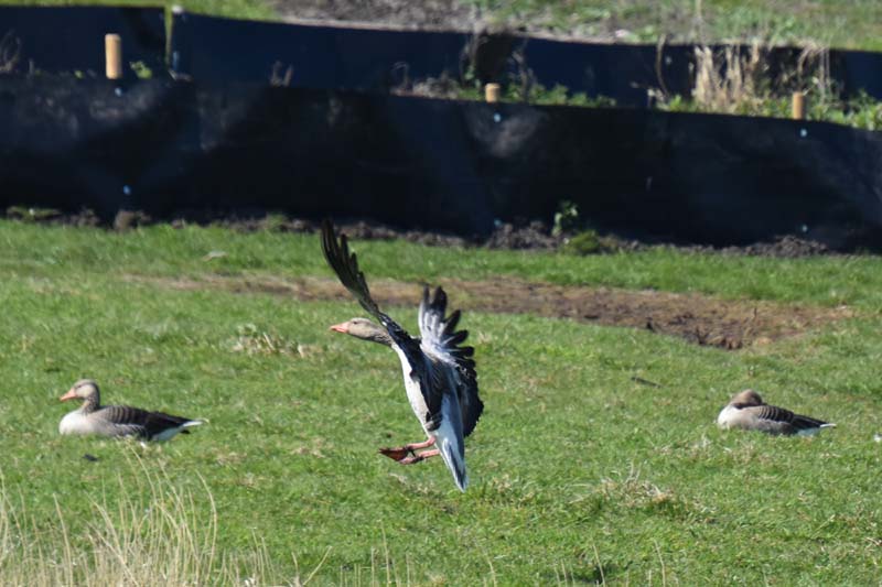 19-04-19_NL_0264_GA2_9672-a