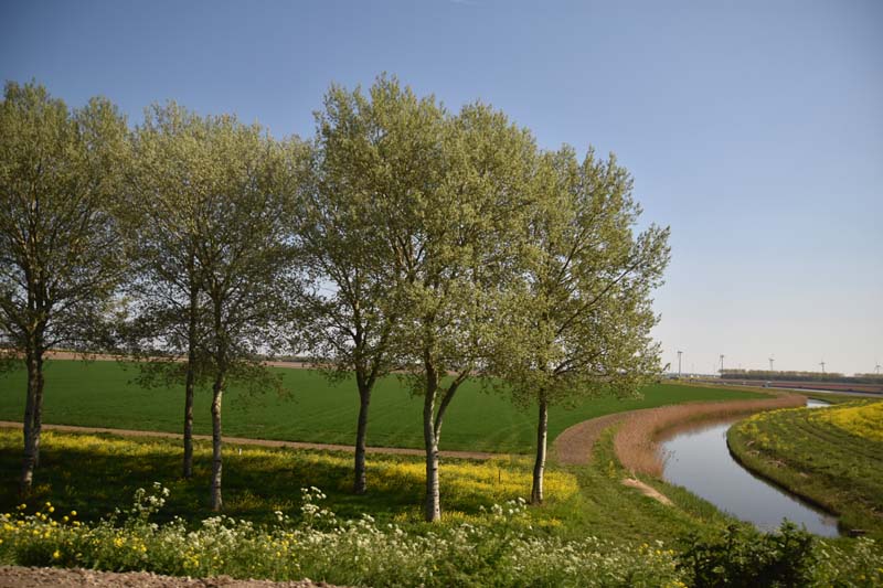 19-04-19_NL_0576_GA2_9925