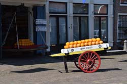 19-04-19_NL_0317_GA2_9718